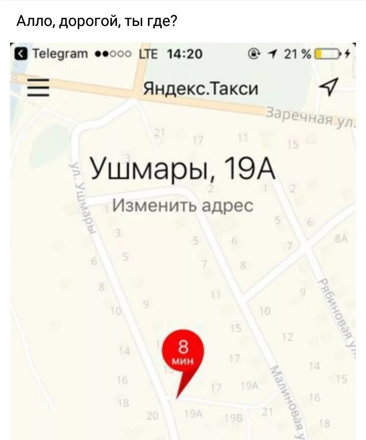 Алло дорогая. Ушмары 19а. Алло ты где. Улица Ушмары где находится. Лес Ушмары Домодедово.