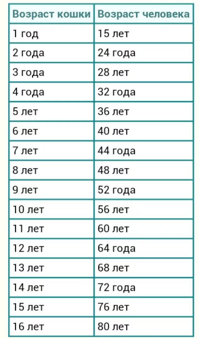 Где то сколько лет. Возраст кошки и человека соотношение таблица. Кошке 8 лет сколько по человеческим меркам таблица. Сколько лет кошки на человеческий Возраст таблица. Сколько лет кошке по человеческим меркам таблица 1 год.