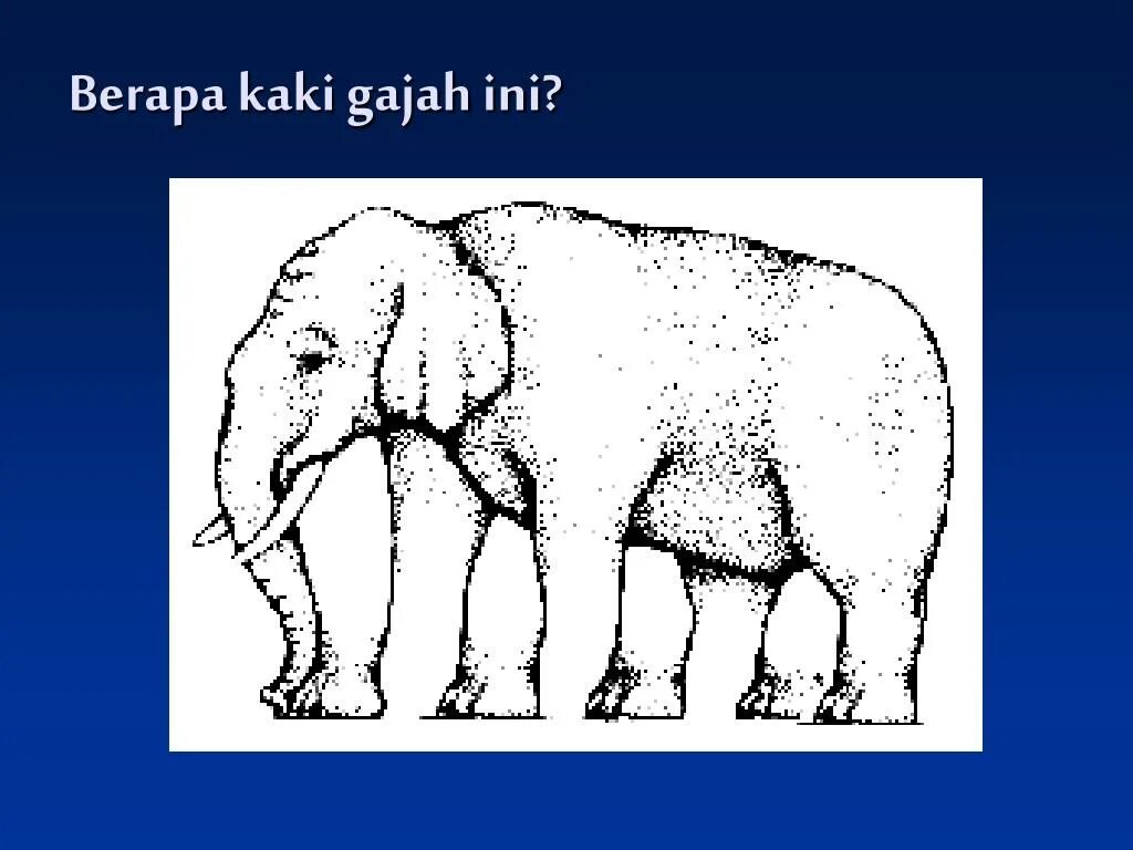 Иллюзия со слоном. Оптическая иллюзия слон. Сколько ног у слона. Оптическая иллюзия со слонами.