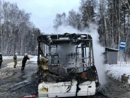 Академгородок бердск автобус