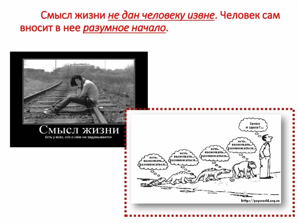 О смысле жизни. Смысл жизни человека. Смысл жизни человечества. В чем смысл жизни человека.