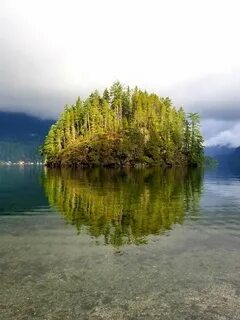 Природа которую не замечают