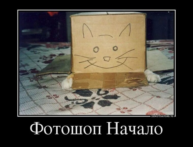 Опять накажешь. Колбаса для кошек. Я свой. Твиттер запрещен. Чиновники и звезды.