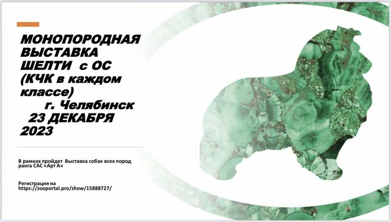 Зоопортал выставки собак 17. Зоопортал уфа. 12 2023. Кинологический питомник симфония в москве шпицы щенки. Зоопортал выставки собак 17.