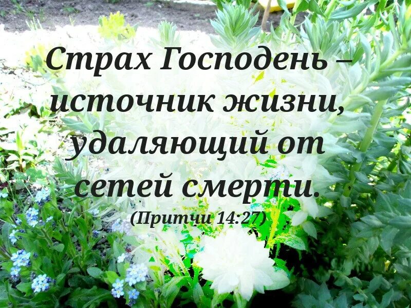 Страх господень. Начало мудрости страх господень. Страх господень. Страх господень. Начало мудрости страх господень.