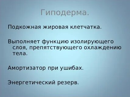 Гиподерма какая функция