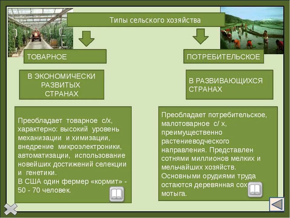 Типы сельского хозяйства. Типы сельского хозяйчтв. Типы сельского хозяйства для развитых стран. Развитые и развивающиеся страны в сельском хозяйстве. Сельскохозяйственное производство преобладает в