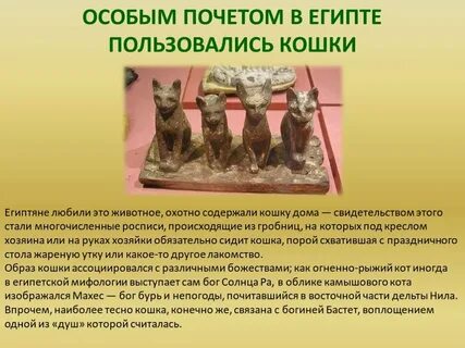 Легенда о кошке