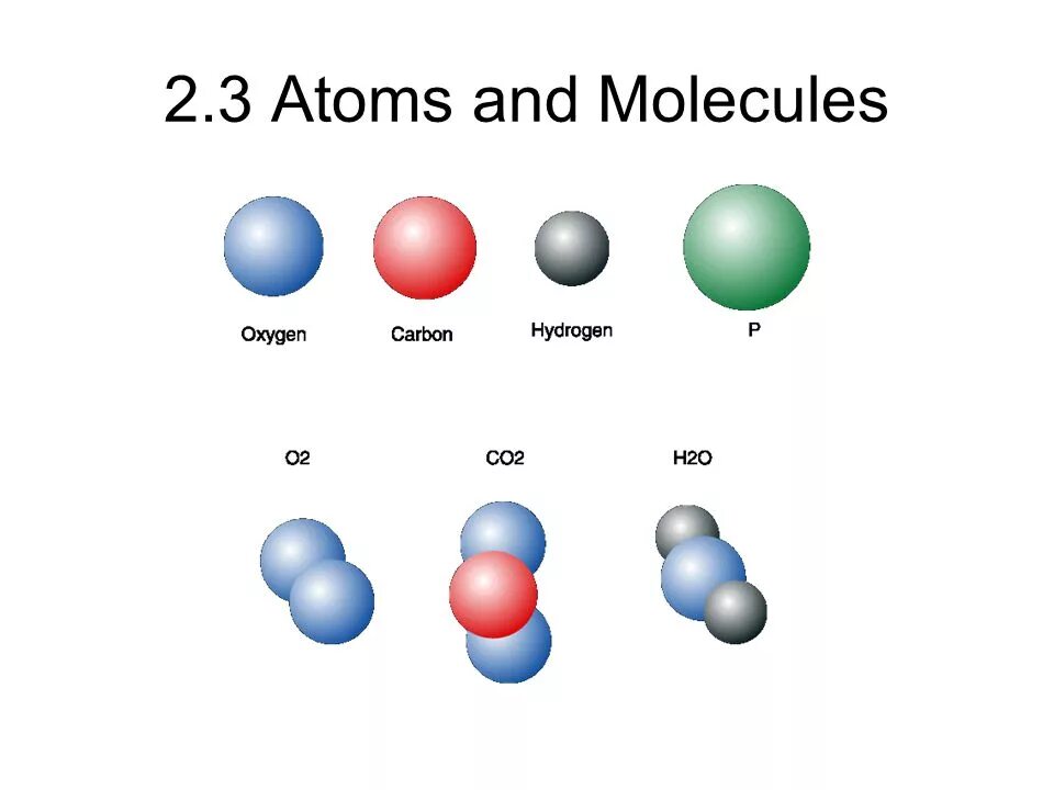 Установите соответствие атом молекула. Atoms and molecules. Атомы молекулы и ионы. Атомы молекулы и ионы рисунок. Аммиак молекула гиф.