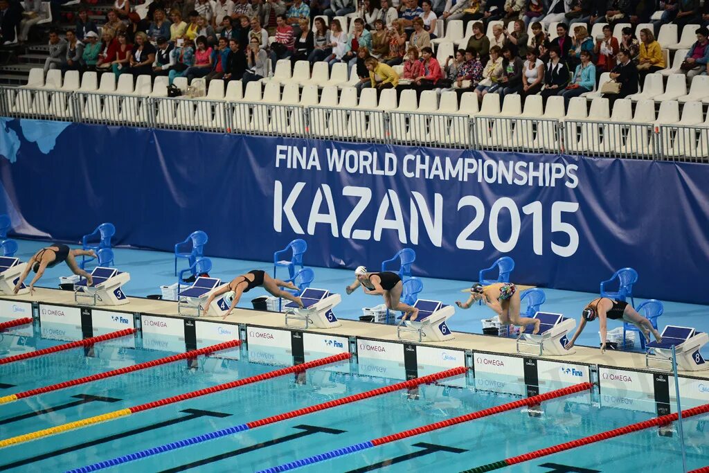 Виды спорта 2015