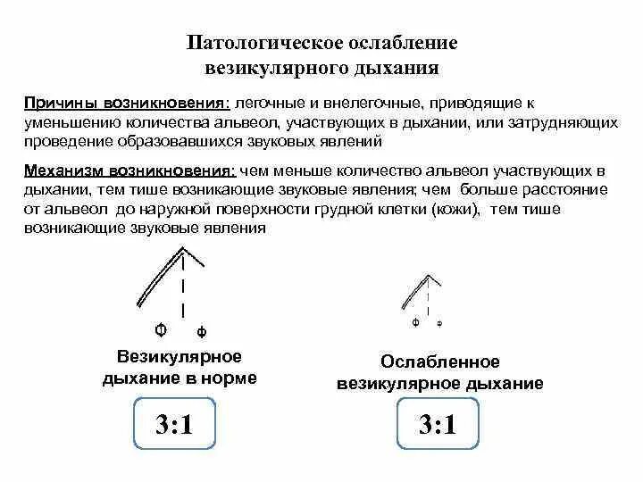 Ослабленное везикулярное дыхание причины возникновения. Патологическое ослабление везикулярного дыхания. Причины ослабления везикулярного дыхания.