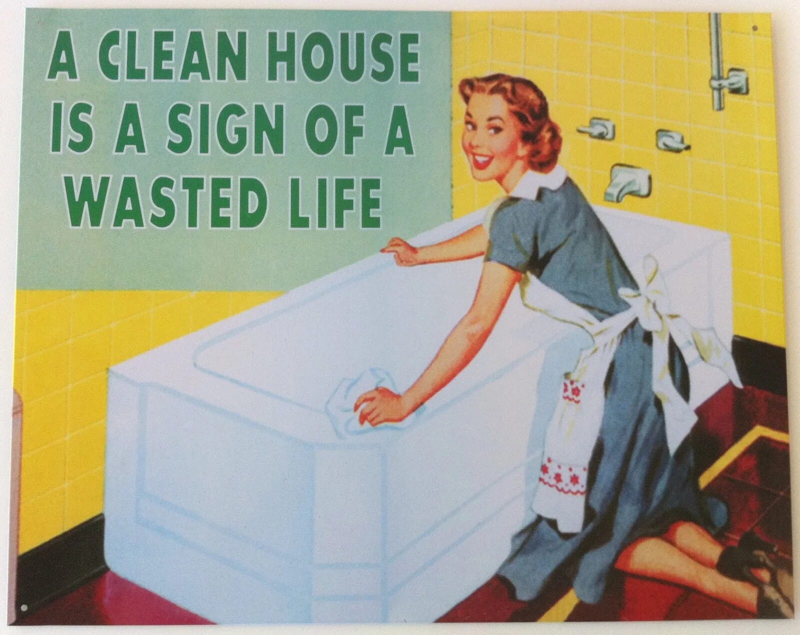 Clean House wasted Life. Cleaning Day смешные. Чистый дом прикол. Cleaning quotes.