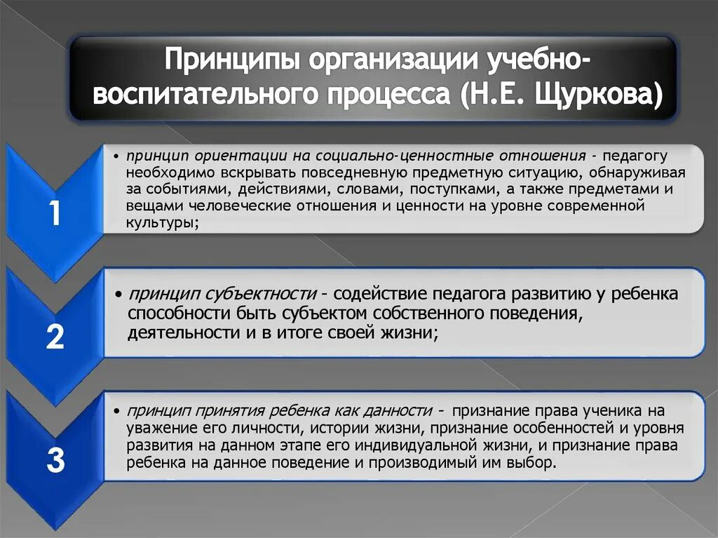 Принцип ориентации на ценностные отношения. Щуркова принципы воспитания. Принцип ориентации на социально-ценностные отношения. Принцип ориентации на ценности и ценностные отношения.