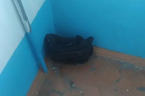 Байкал дейли в реальном