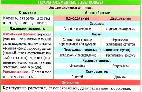 Покрытосеменные в систематике