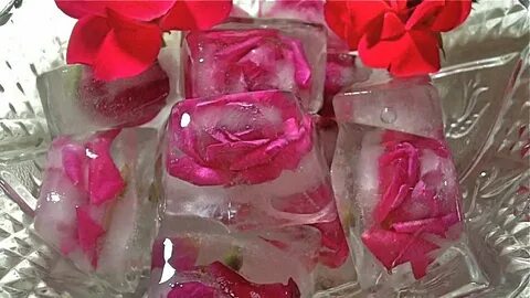 Roses on ice
