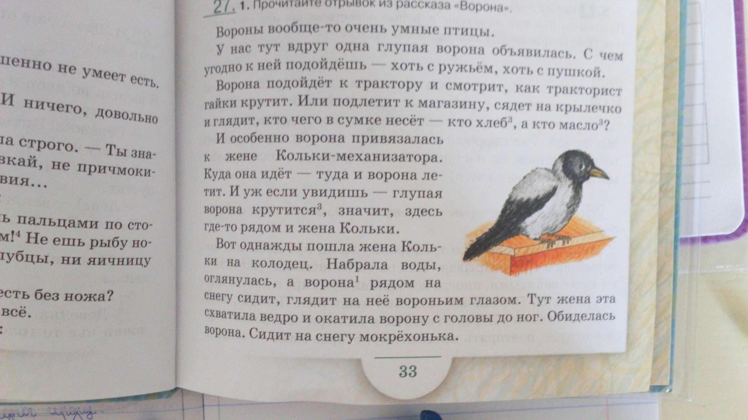 Основная мысль текста каждый знает воробья ворону. Ворона рассказ. Рассказы в которых есть ворона. Изложение про ворону. Рассказ кот и ворона.