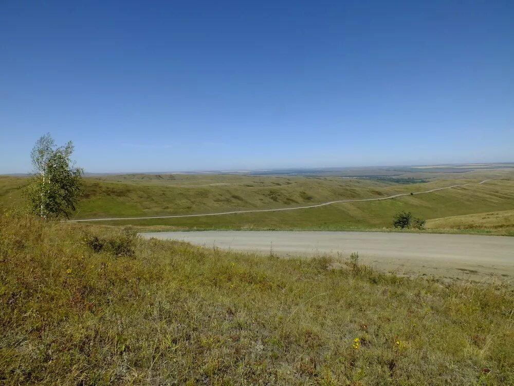 Акимовка Алтайский край Краснощековский район. Село Акимовка Алтайский край золото. Маралиха Краснощековского района Алтайского края. Село Маралиха Краснощековский район. Погода в акимовка краснощековский район