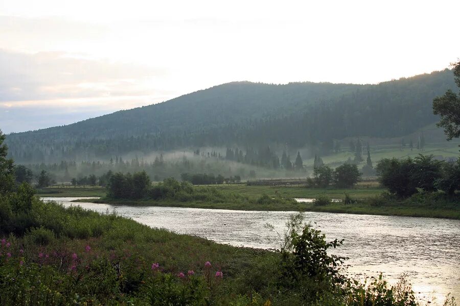 Погода в татлах