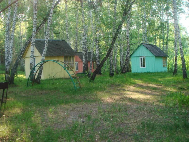 Базу отдыха в Караканском бору под Новосибирском продают второй раз за полгода -