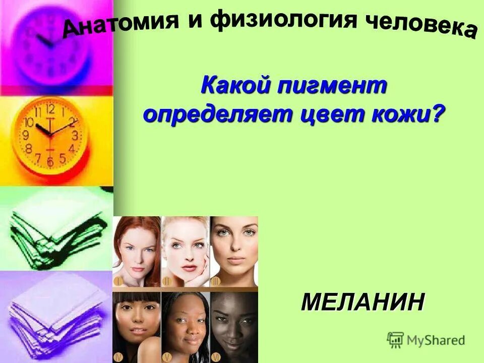 в дерме содержится пигмент меланин. пигменты кожи название. пигмент определяющий цвет кожи. пигмент меланин вырабатывается клетками. кожный пигмент меланин.