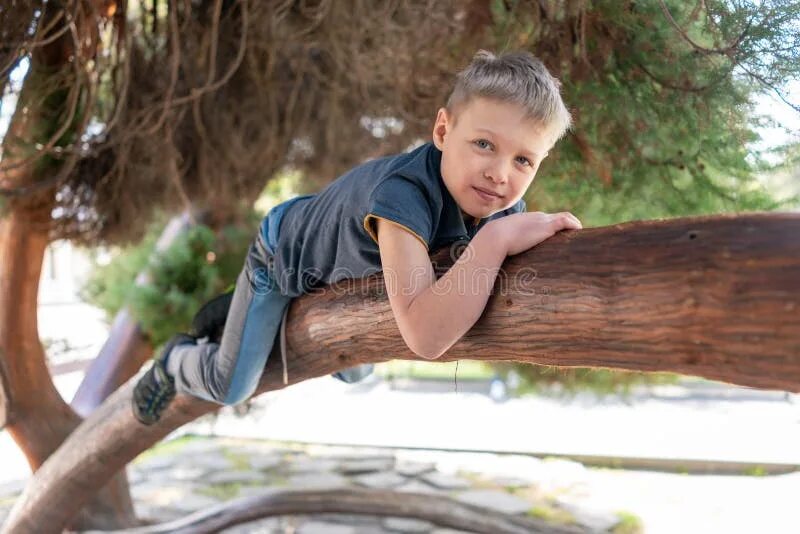 The boy the tree. Мальчик на дереве. мальчик лежит на дереве. мальчик с дерева  the tree boy. мальчик на ветке.