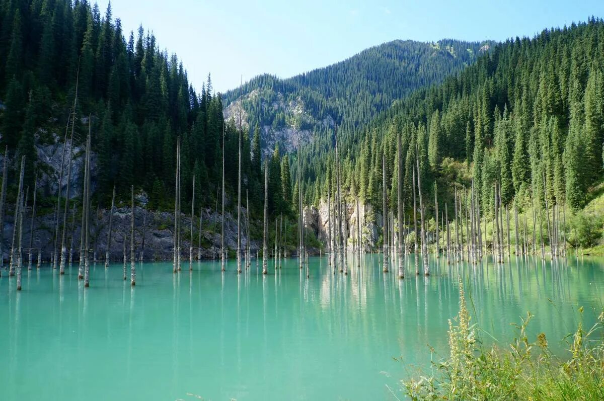 озеро каинды в казахстане. озеро кольсай казахстан. кольсай каинды. озера на территории казахстана. кольсайские озера + озеро каинды.