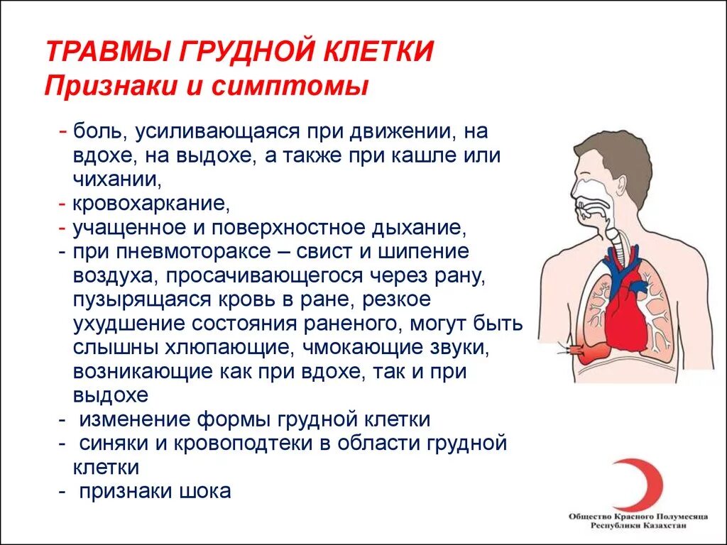 Почему сводит ребра