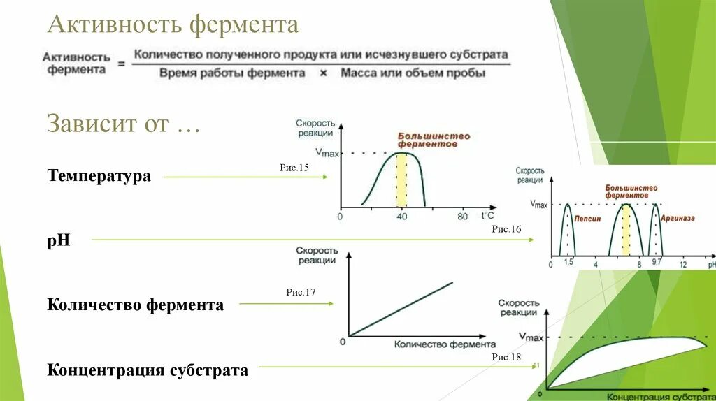 Ферментативные реакции примеры. Ферментативная активность. Зависимость активности ферментов от количества фермента. Зависимость скорости ферментативных реакций от различных факторов. График зависимости фермента от температуры