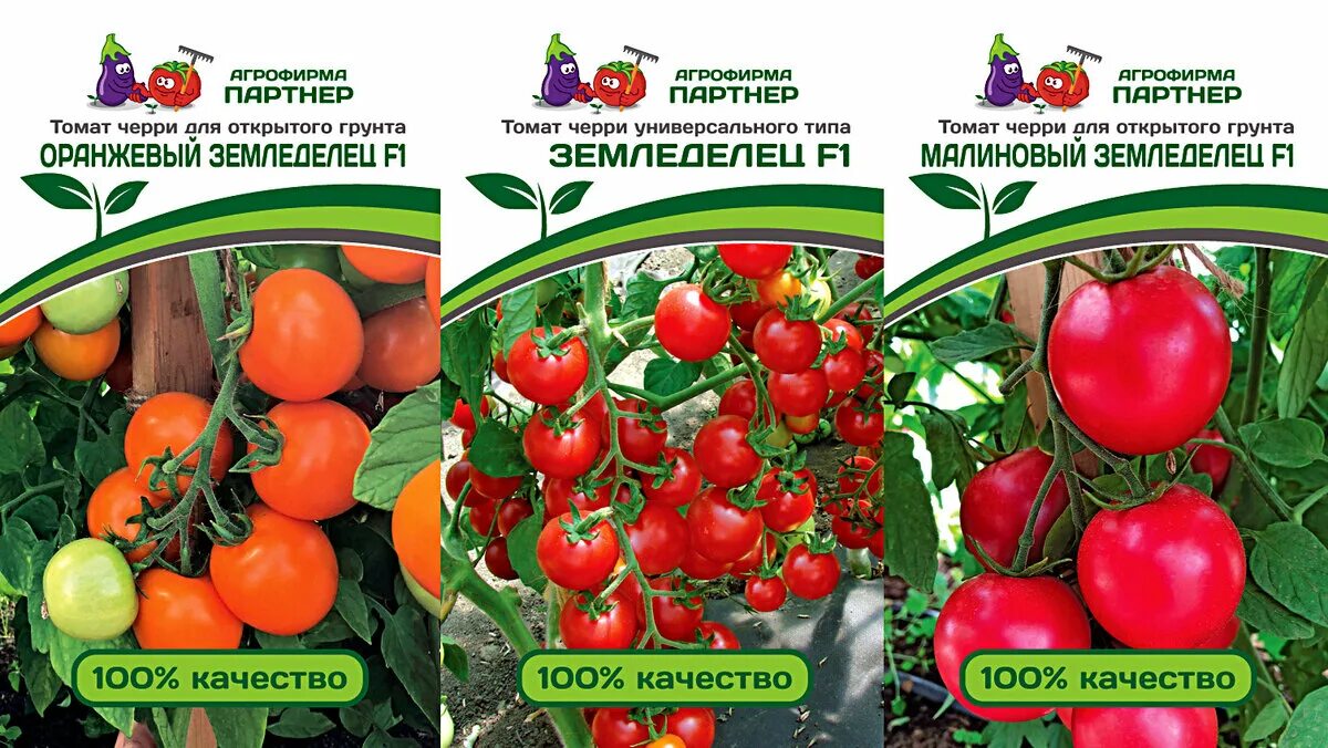 Новости компании САДко