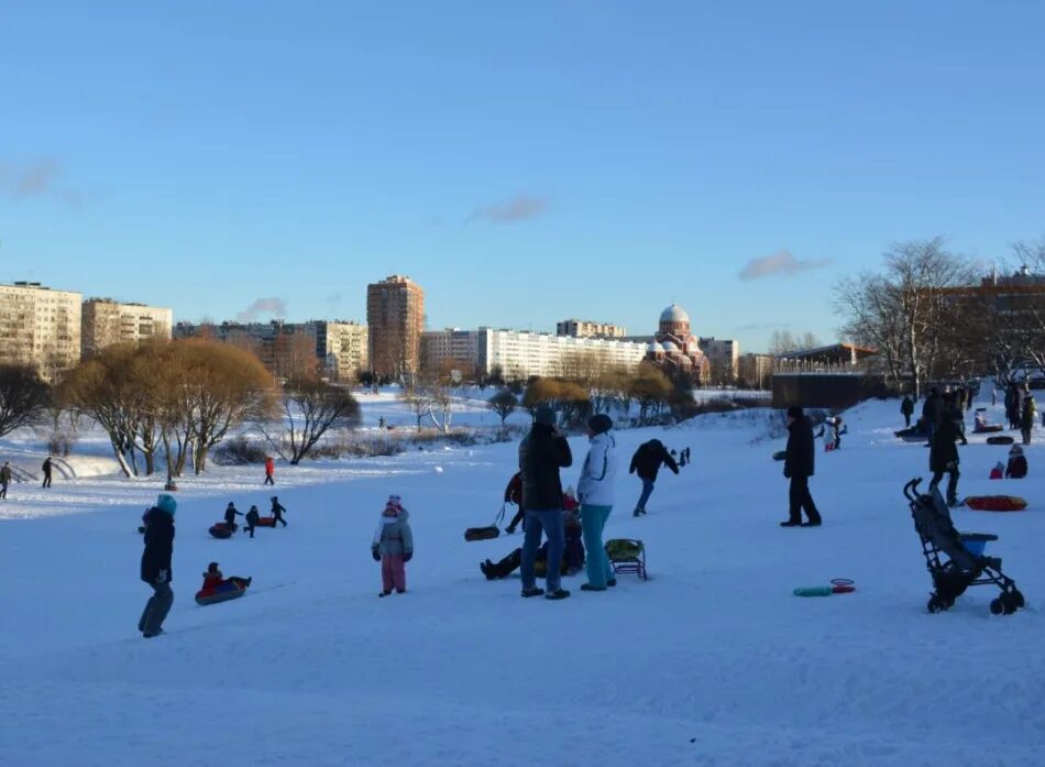 Муринский парк горки. Санкт-Петербург Муринский парк Муринский парк. Фото Муринского парка. Парк Муринский ручей 2024 зима.