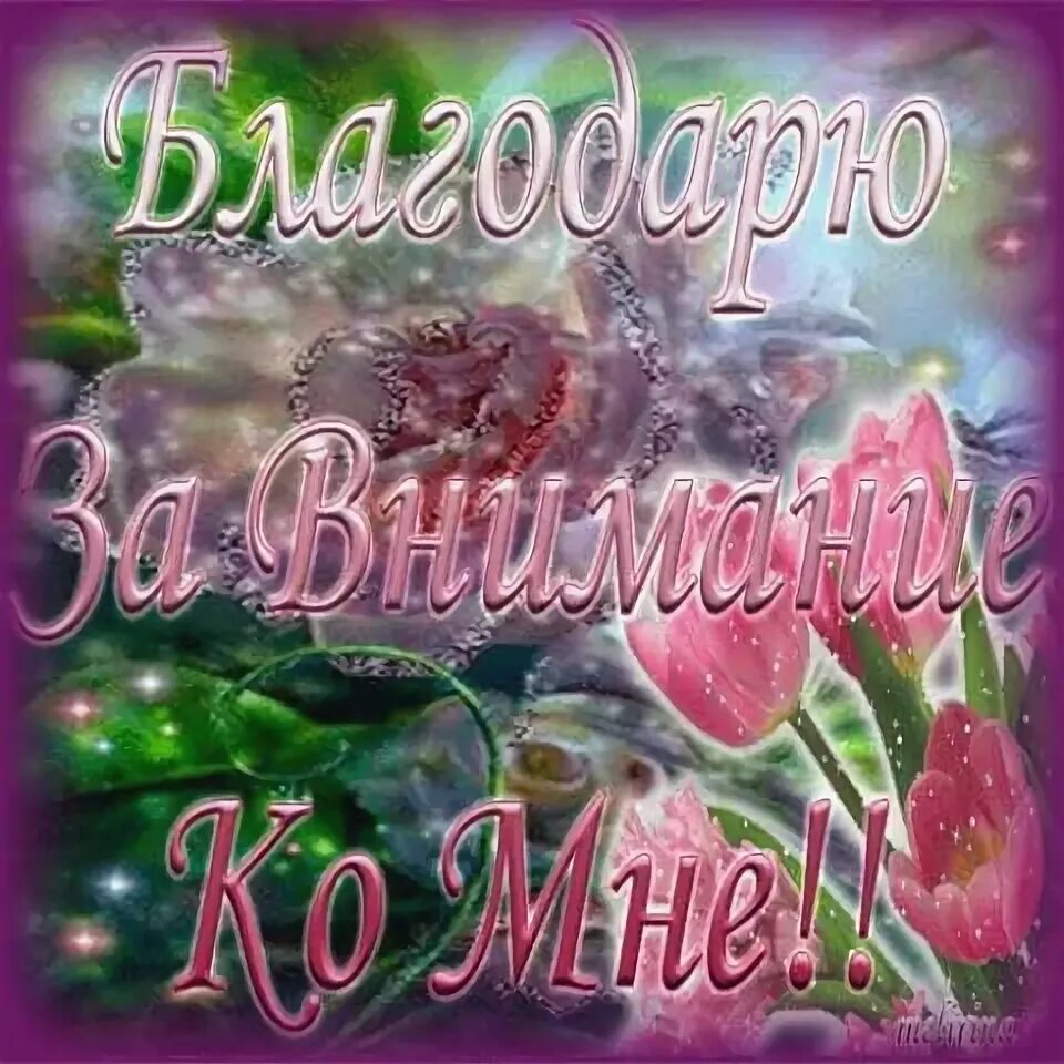 Как отблагодарить мужчину. Открытка с благодарностью за внимание. Открытки спасибо за внимание ко мне. Красивые открытки со словами благодарности. Открытка благодарю за внимание ко мне.