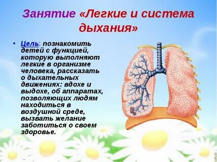 Детям про дыхание