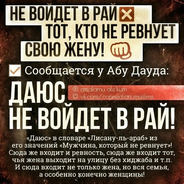 Что такое даюс в исламе