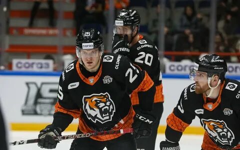 Амур хабаровск прогноз