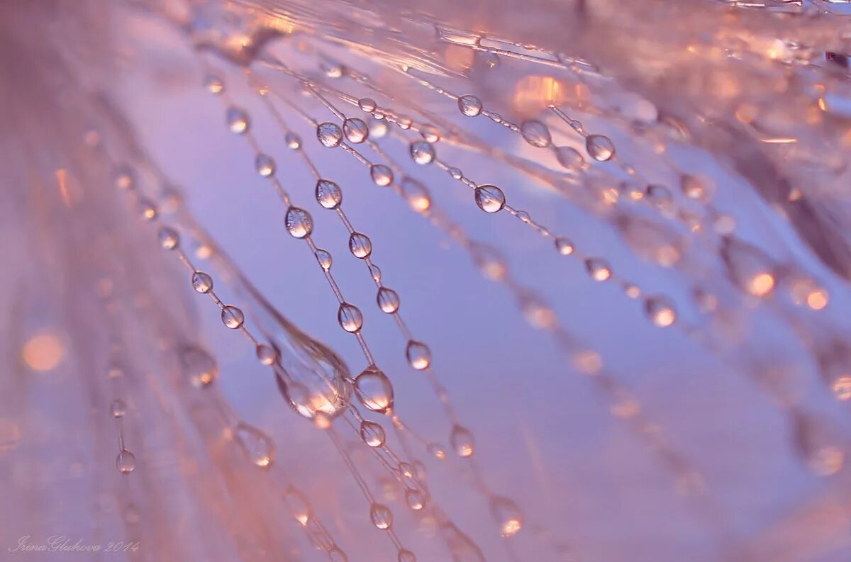 Water on window. сверкающие на солнце капли слепого дождя.