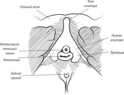 Ішіндегі жас топтық порно