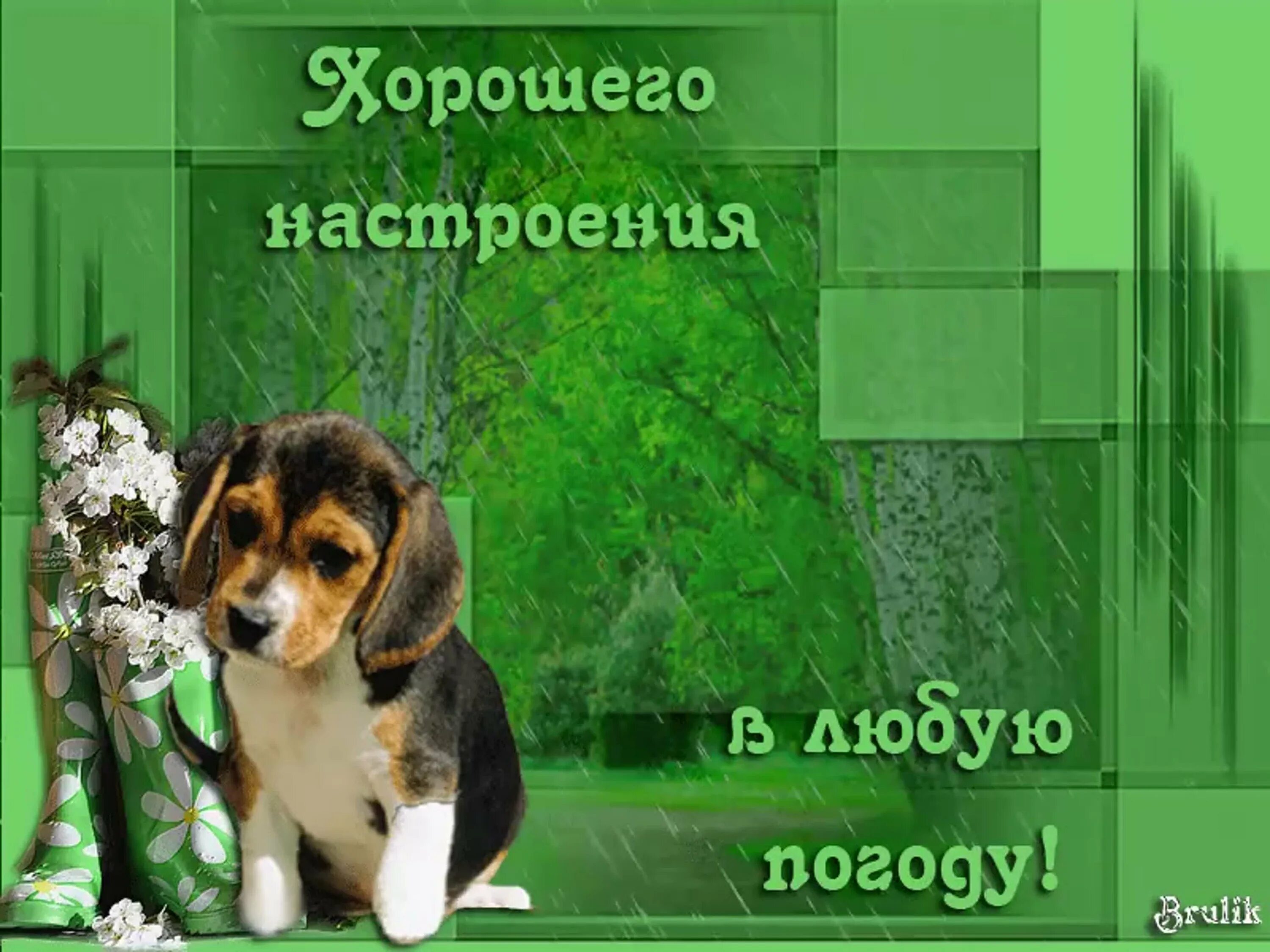 Здоровья в любую погоду. Хорошего настроения в любуютпогоду. Прекрасного настроения в любую погоду. Хорошего настроенв любую погоду. Хорошего настроения в любую погоду картинки.