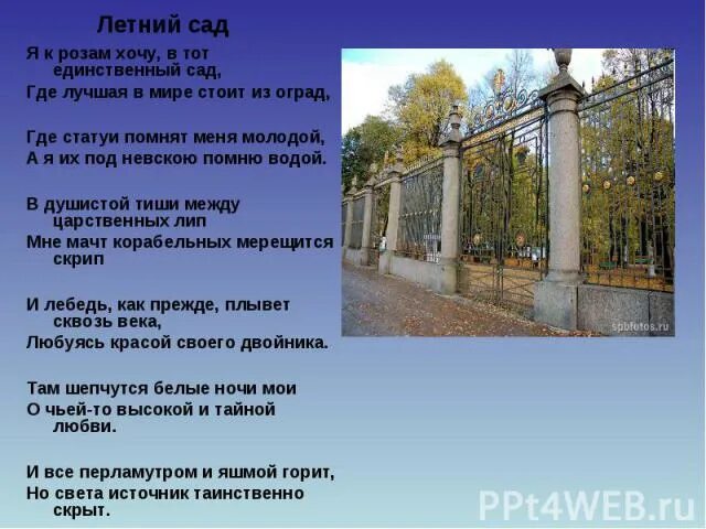 Стихи Пушкина про летний сад в Санкт-Петербурге. Летний сад Ахматова. Летний сад в Санкт-Петербурге Ахматова. Летний сад Питер. Стихи. Ахматова стихотворение пушкина