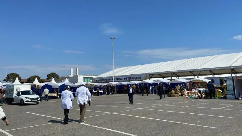 крымчанин z