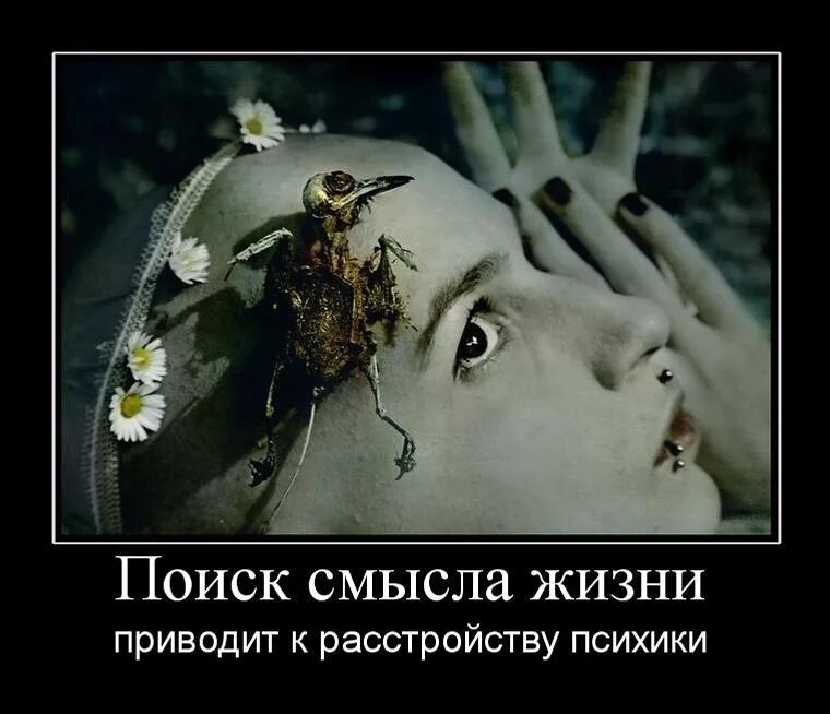 Такая жизнь приводит к