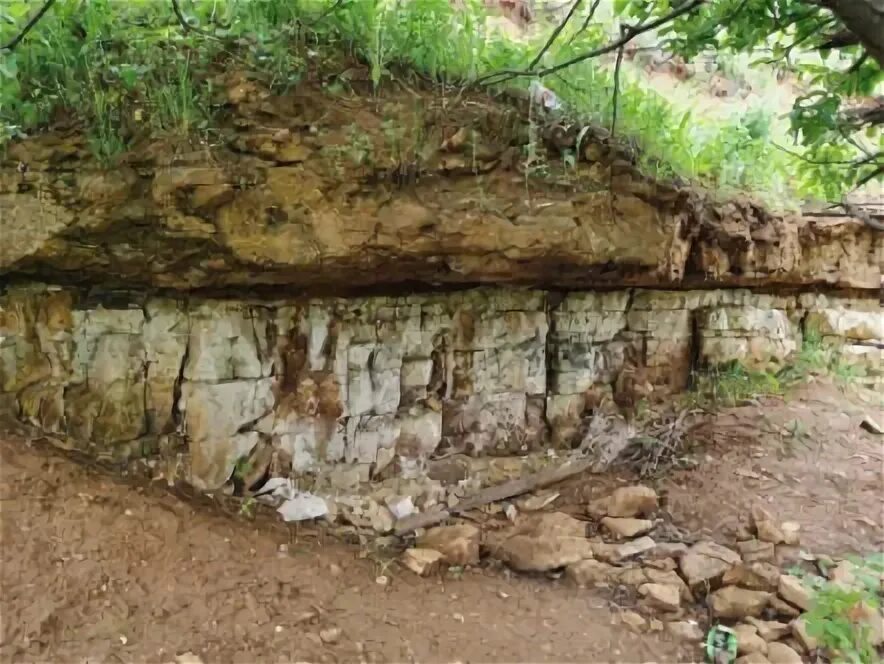 Гжельский ярус. Разрез Гжельского яруса. Палеонтологические памятники природы Ставропольского.