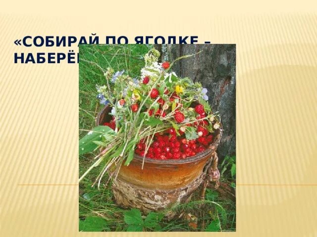 Собирай по ягодке найдешь кузовок. По ягодке наберешь кузовок. Шергин собирай по ягодке наберешь кузовок иллюстрации. Собирай по ягодке наберешь кузовок. Б Шергин собирай по ягодке наберёшь кузовок.