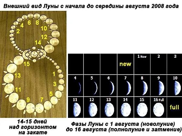 Фазы луны в августе. Внешний вид луны. фаза луны 2008 года. фаза луны 1 августа 2008 года.