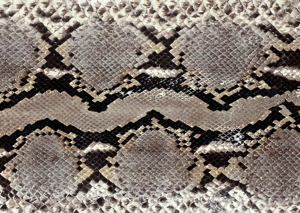 Snake pattern