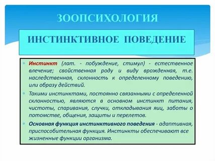 Имеются простые инстинкты которые определяют особенности поведения