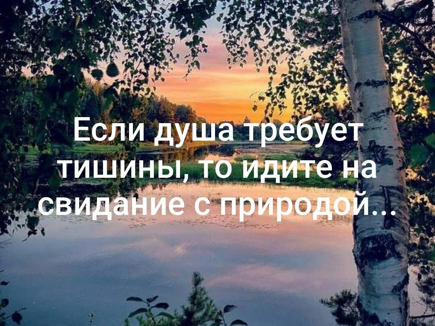 Цитаты про природу. Высказывания о природе. Красивые цитаты про природу. Афоризмы о природе. Несмотря на тишину и покой