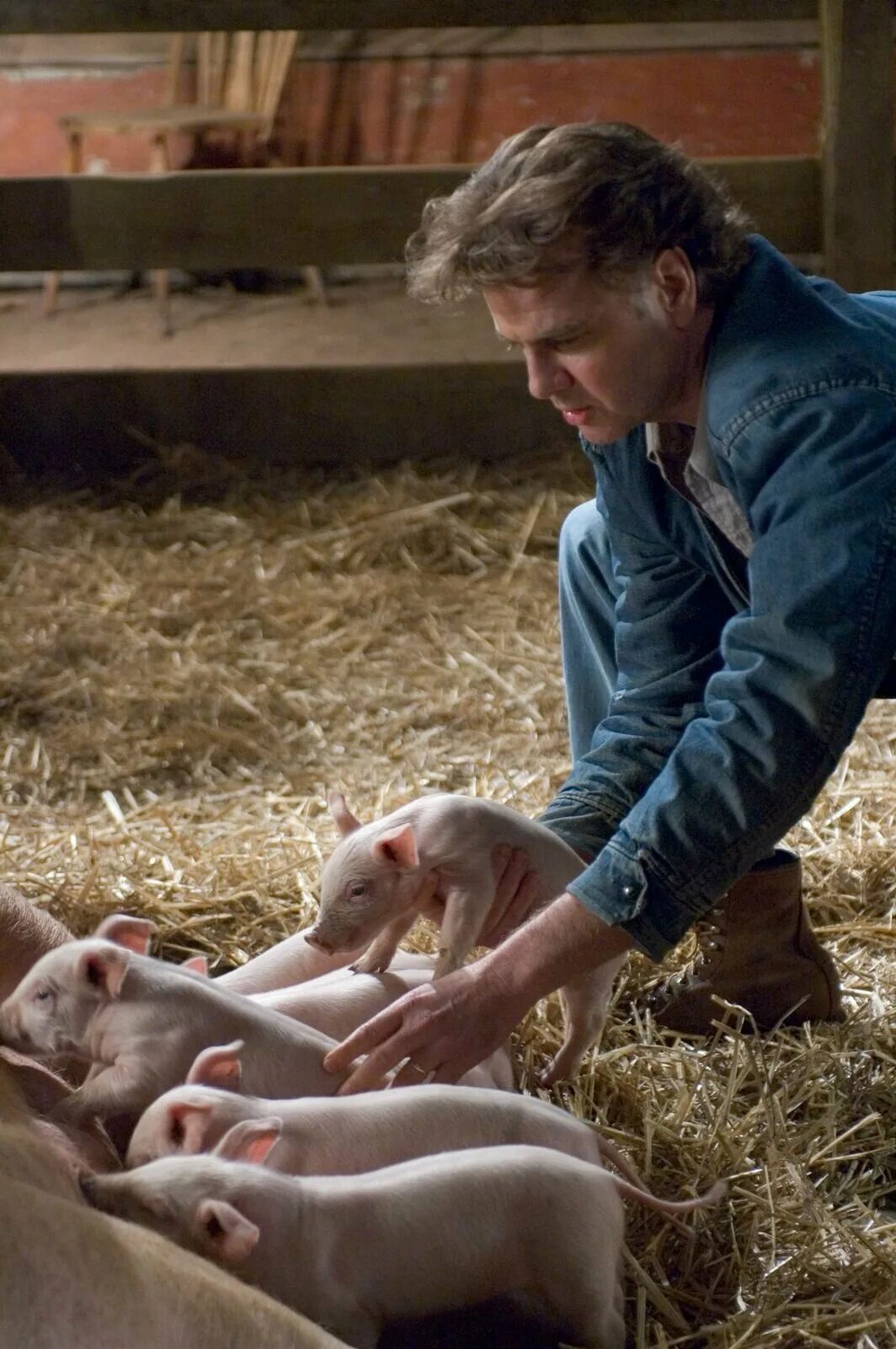 дакота фаннинг паутина шарлотты. дакота фаннинг паутина шарлотты. паутина шарлотты 2006. паутина шарлотты 2006. паутина шарлотты 2006.