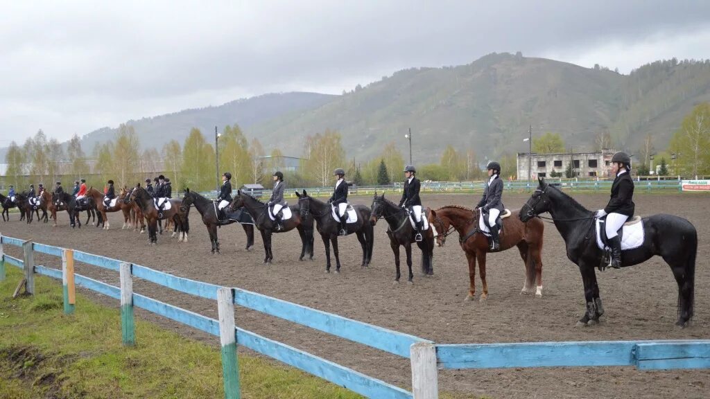 Алтайск спорт. Конно-спортивная школа Горно-Алтайск. Конный спорт Горно Алтайск. Конно спортивная школа в Горно Алтайске. Горно Алтайск конюшня.