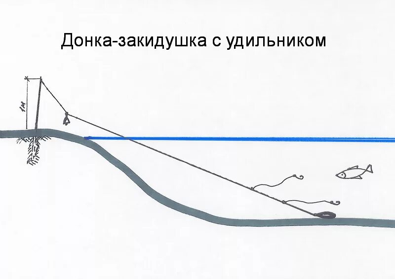 Сколько часов у донка. Донная закидушка оснастка. Фидер закидушка донка. Донка схема снасти. Рыбалка донки закидушки.